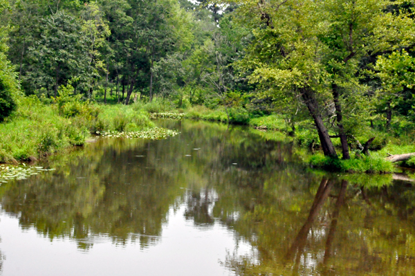 great reflections